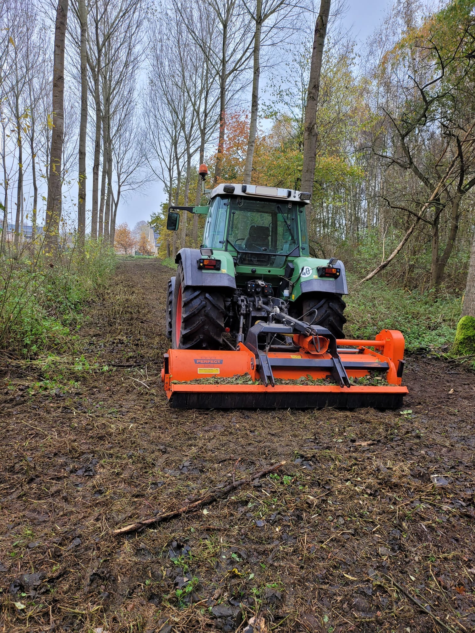 Canada plantage maaien Hasselt - pad maken met klepelmaaier