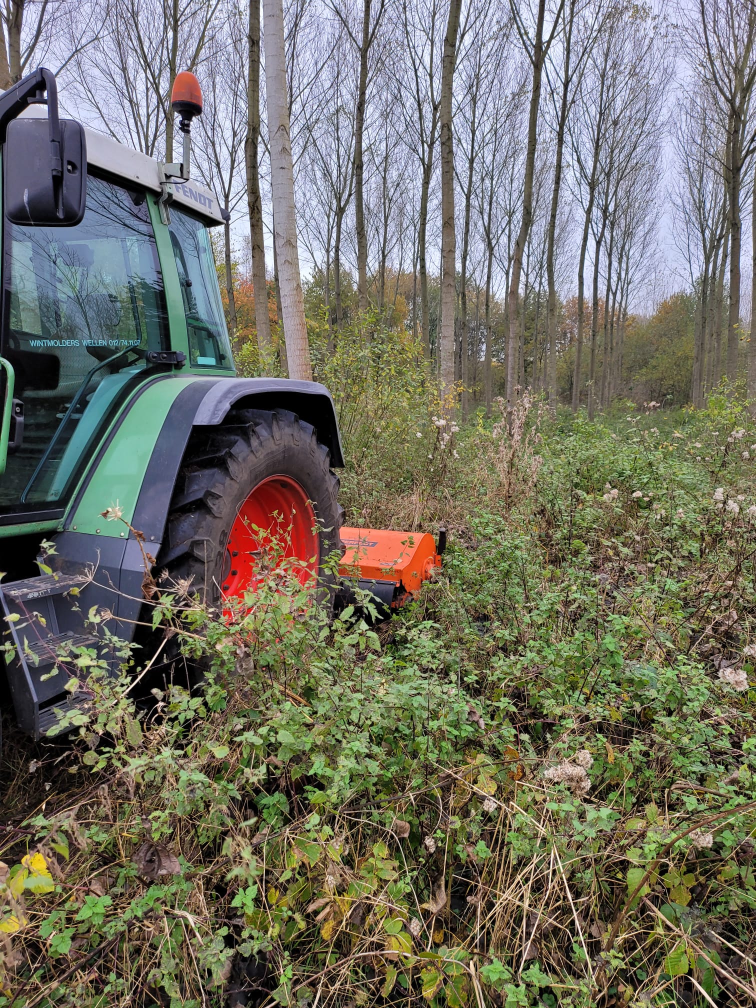 Overwoekerd terrein voor maaien - professionele maaiwerken nodig